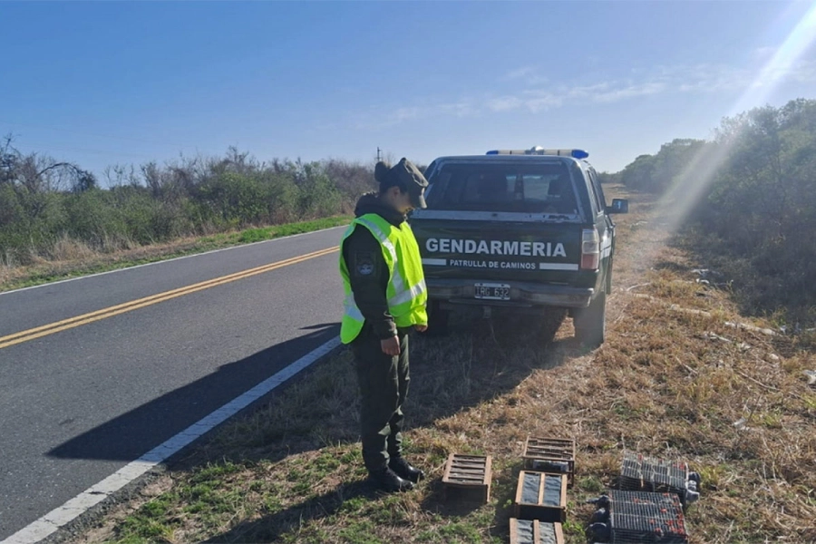 Los pajaritos fueron liberados. Gendarmer&iacute;a Nacional