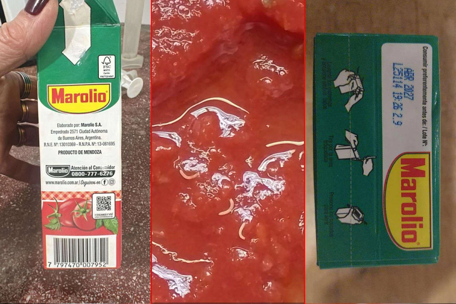El lote de tomate triturado con gusanos. ANMAT