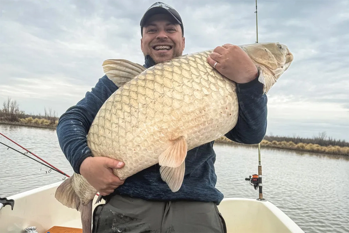 La carpa pesó más de 30 kilos y fue devuelta al río