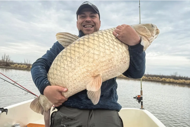 Pescadores capturaron una carpa gigante: “Sentimos un pique muy monstruoso”