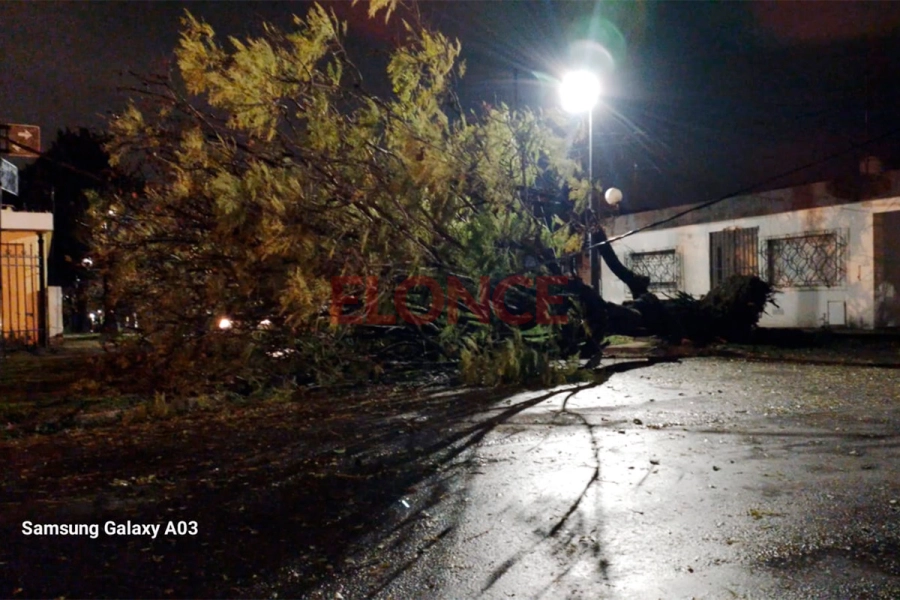 Vicente Quesada y Luis Palma; barrio Mercantil