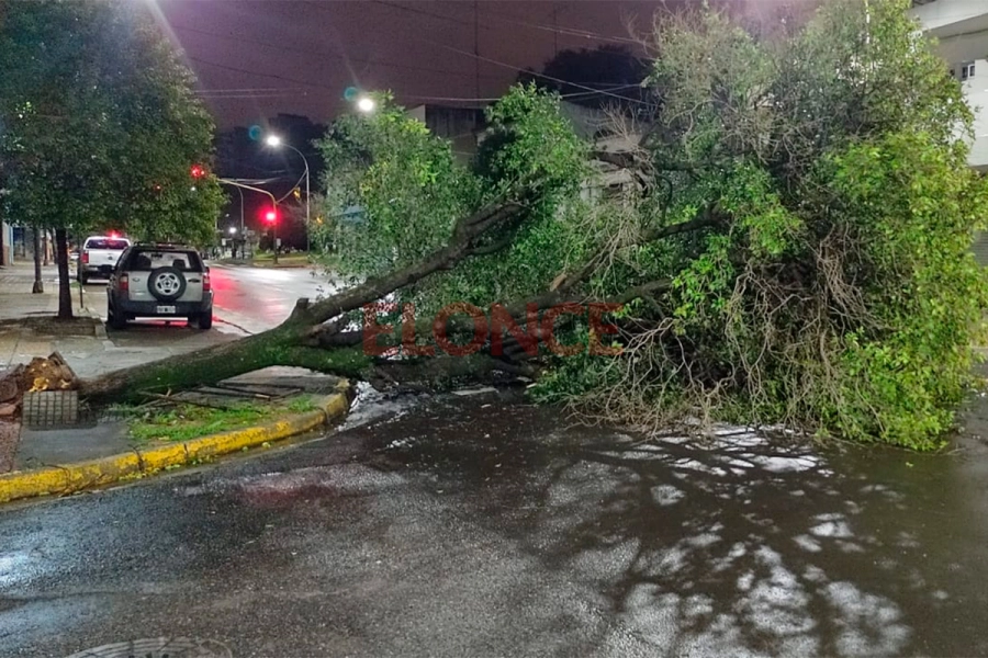 Echagüe y Cura Arias Montiel