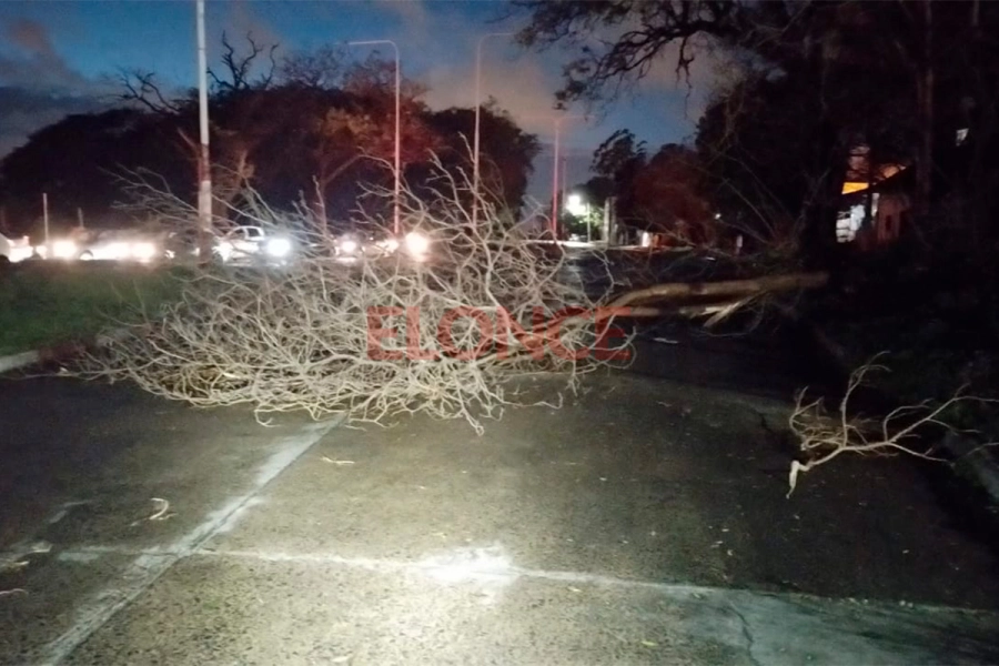 Maci&aacute; y Divisi&oacute;n de los Andes