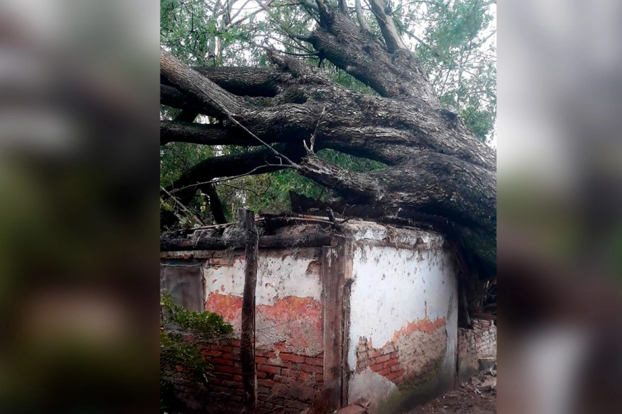 La casa qued&oacute; inhabitable en La Paz (foto Infopaer)