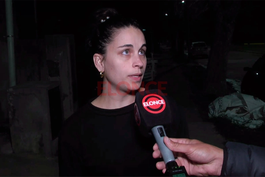 La voluntaria brind&oacute; precisiones sobre el estado del equino. Foto: Elonce.