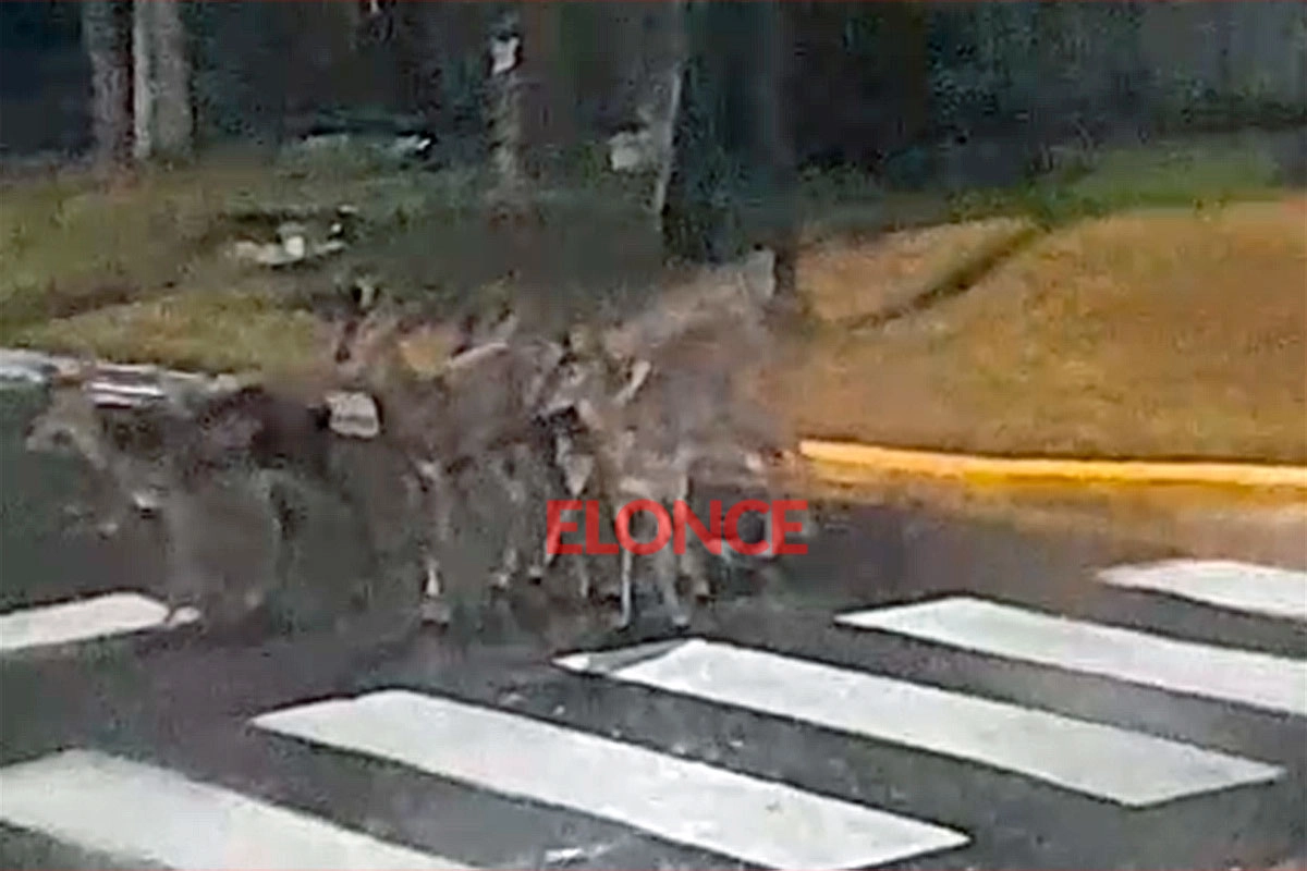 Giulia rosa onlyfans vazado Aqui não vai faltar.