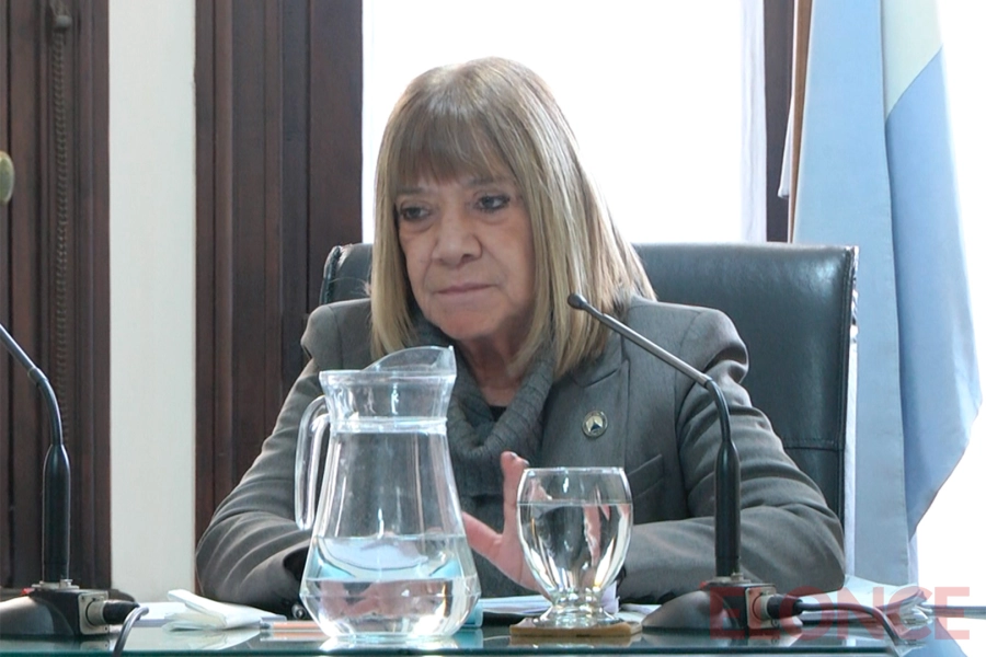 La Jueza Federal Noem&iacute; Berros