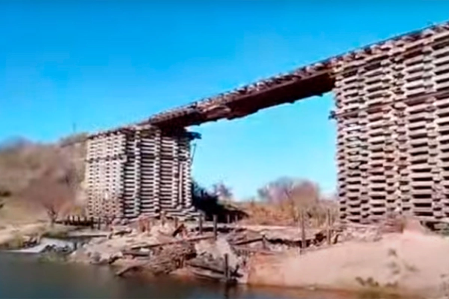 Aparecieron más de 100 peces muertos en un arroyo entrerriano