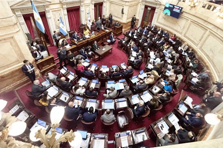 Senado sancionó emergencia en pediatría tras rechazar decretos y blindar fondos universitarios