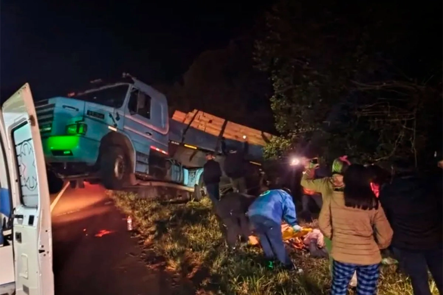 Impactante accidente en la Ruta 14: cami&oacute;n cargado con pinos qued&oacute; al borde del vac&iacute;o