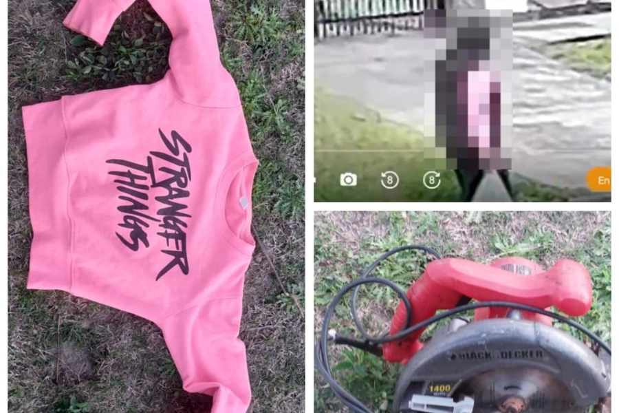 Los elementos recuperados. Foto: P.E.R.