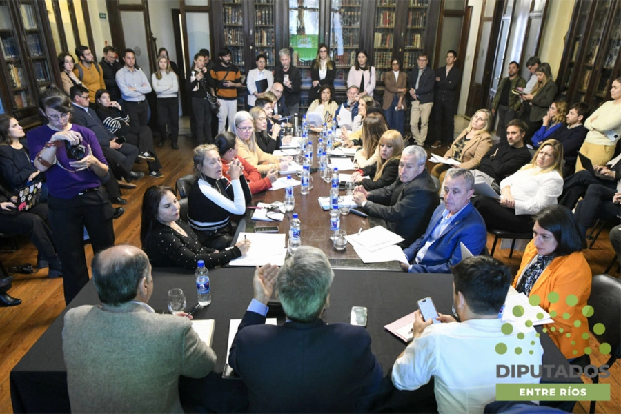 Boleas en la C&aacute;mara Baja. Foto: Prensa Diputados
