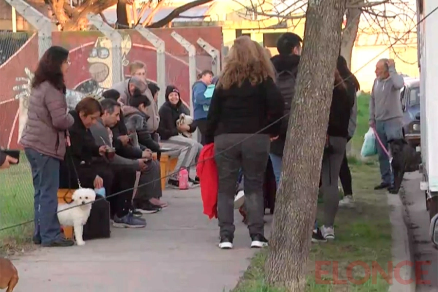 Operativos de castraci&oacute;n en Paran&aacute;