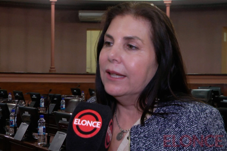 La diputada provincial Gabriela Lena