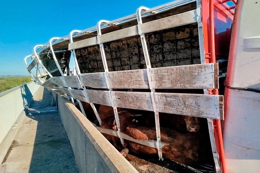 Violentísimo choque sobre puente Victoria-Rosario