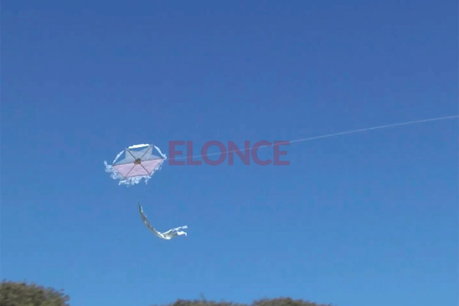 El Colegio del Huerto despidi&oacute; el Mes de las Infancias con una barrileteada que uni&oacute; generaciones