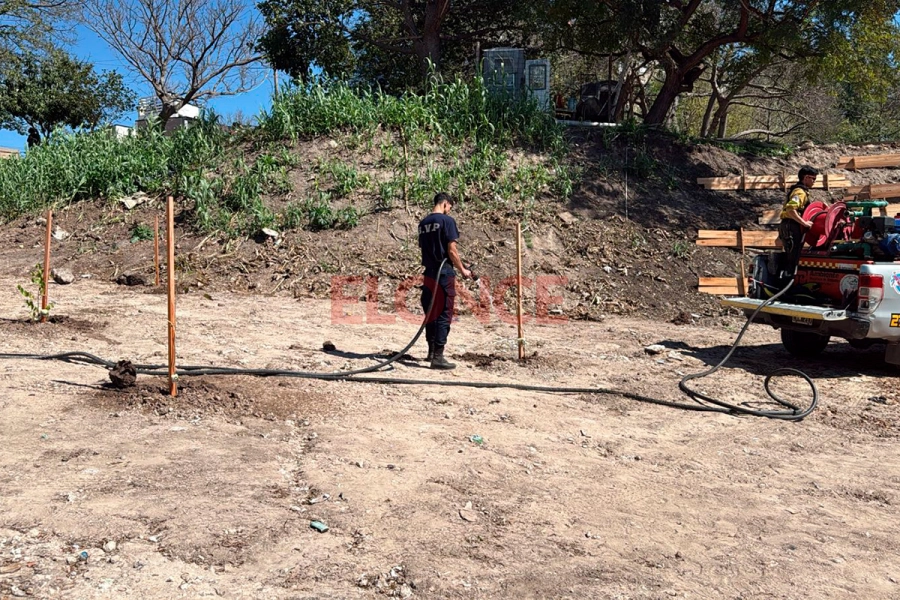 Plantaron 45 especias nativas en el D&iacute;a del &Aacute;rbol (foto Elonce)