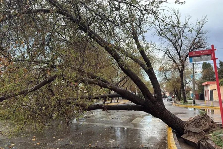 Foto: Mendoza Online.