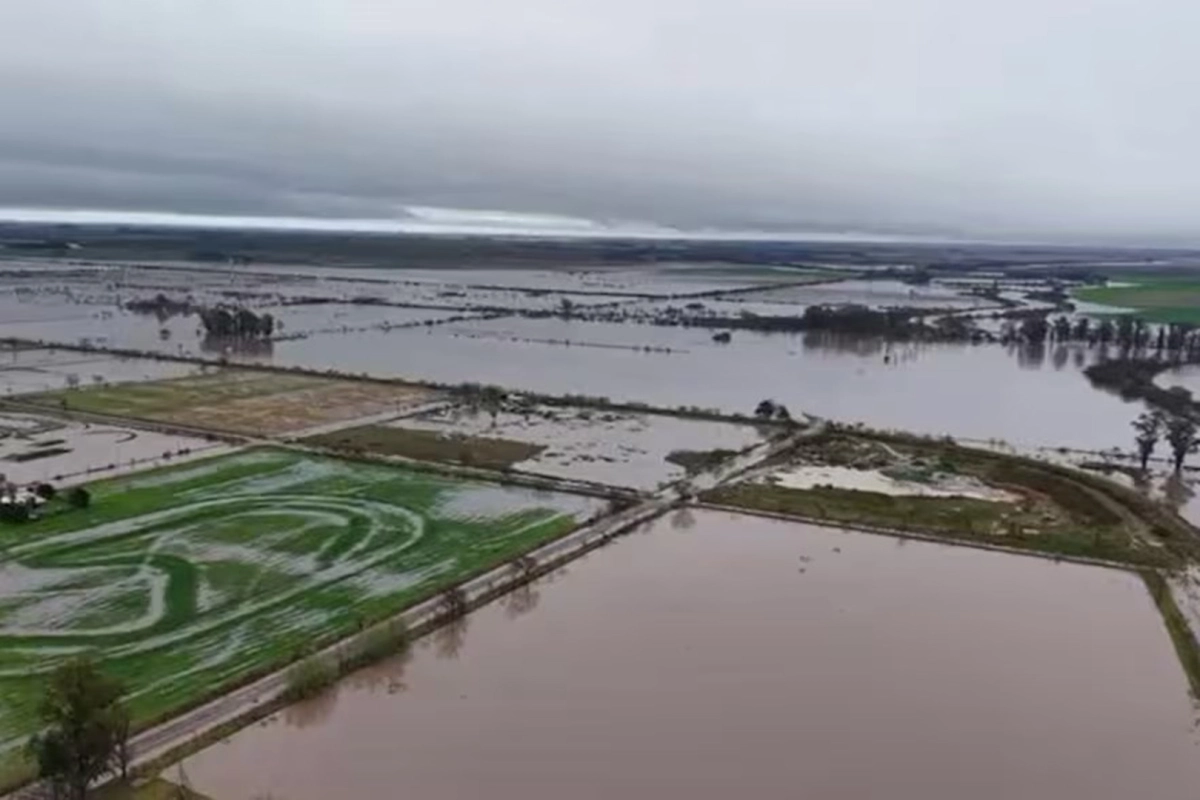Córdoba: graves inundaciones por la tormenta de Santa Rosa | Elonce.com