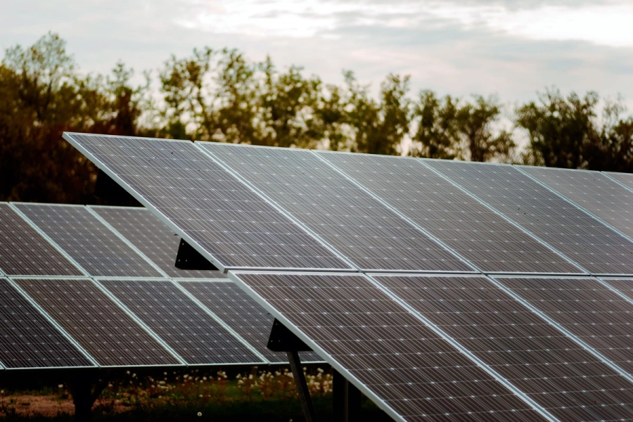 Parque solar de Enersa.