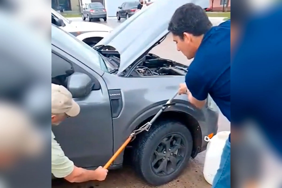 Una yarar&aacute; apareci&oacute; en el motor de una camioneta y bomberos la retiraron en Gualeguay