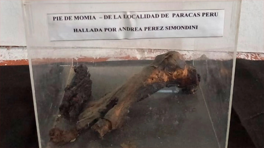 Pie de momia exhibida en Museo del OVNI de Victoria