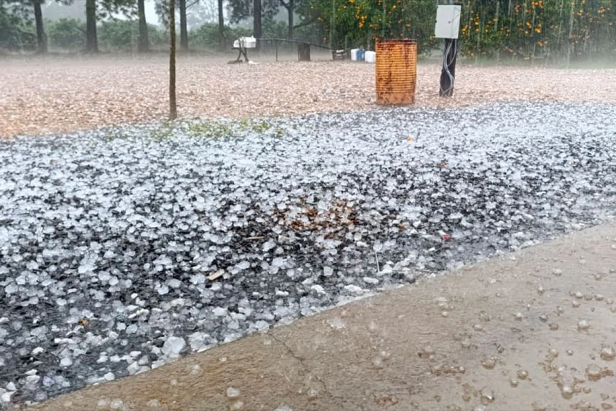 (Chajarí al Día).