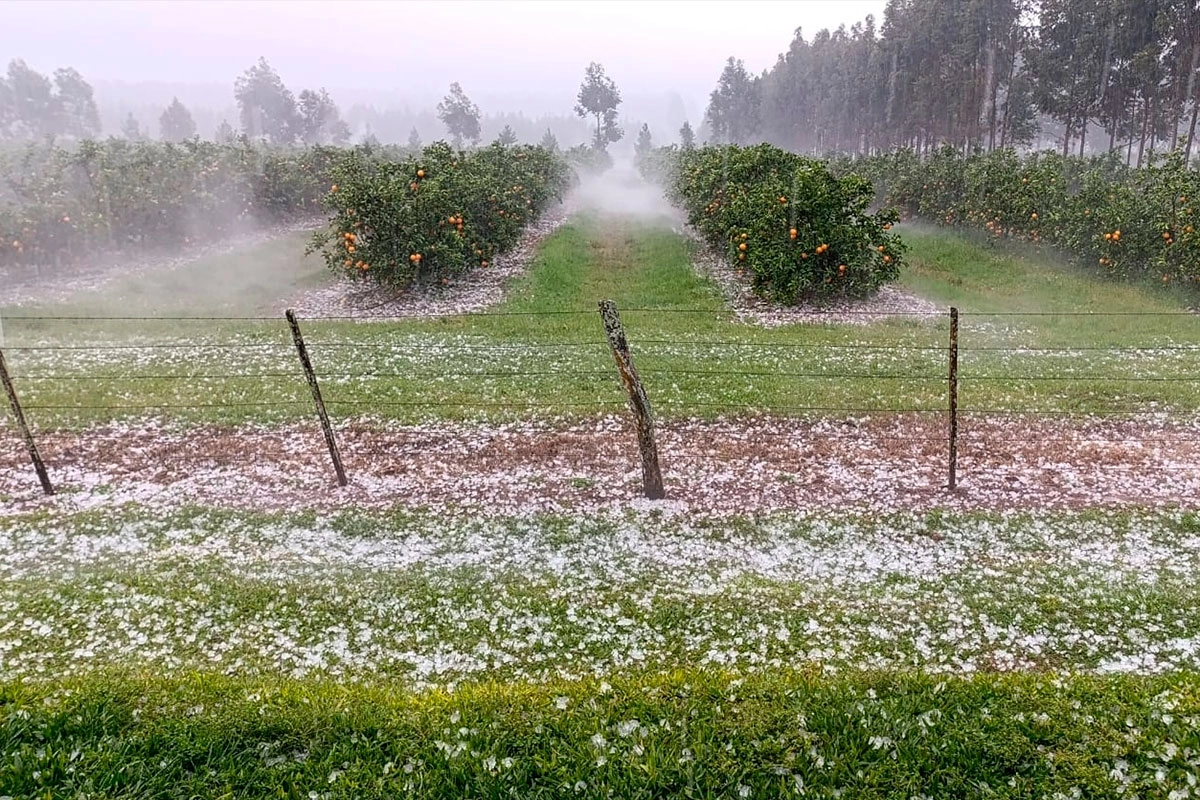Granizada en Entre Ríos. Granizada en Entre Ríos.