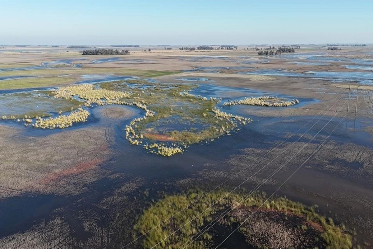 Declaración de emergencia agropecuaria en Buenos Aires y San Juan por eventos climáticos