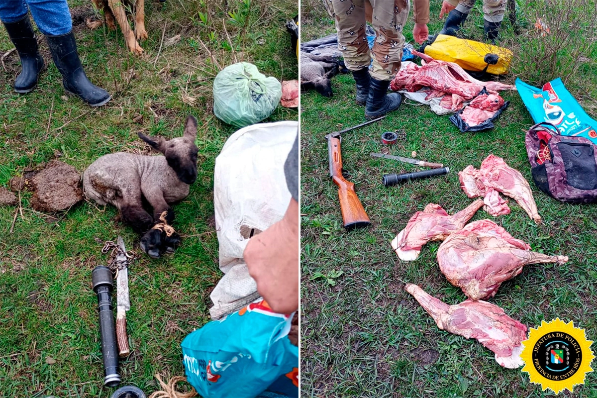 Lo incautado en el operativo