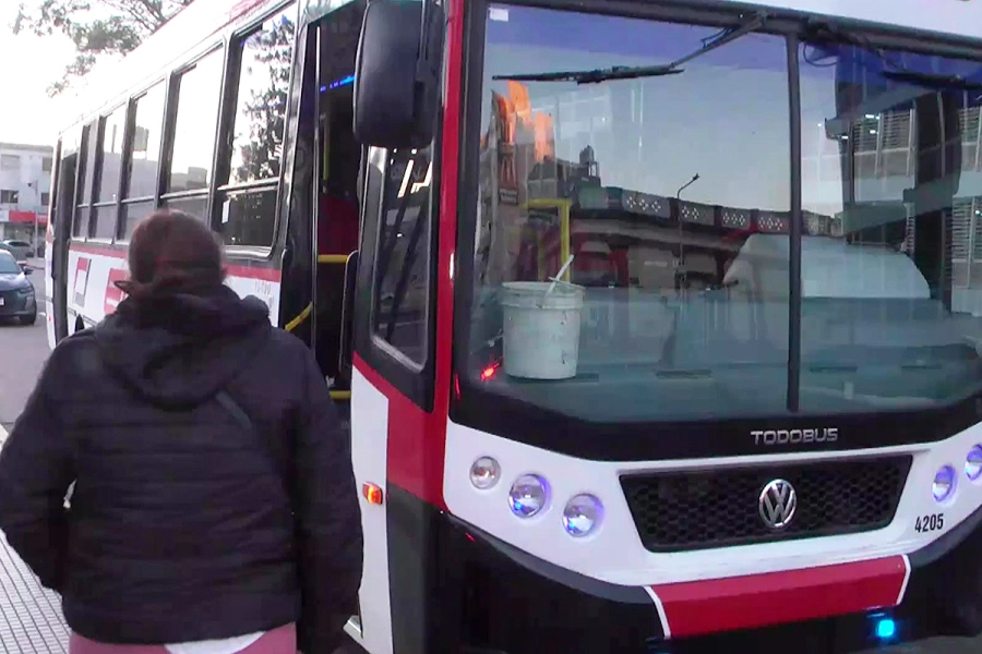 Colectivo &Aacute;rea Metropolitana.
