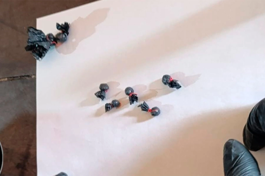 Secuestraron coca&iacute;na y detuvieron a seis personas en procedimiento por narcomenudeo