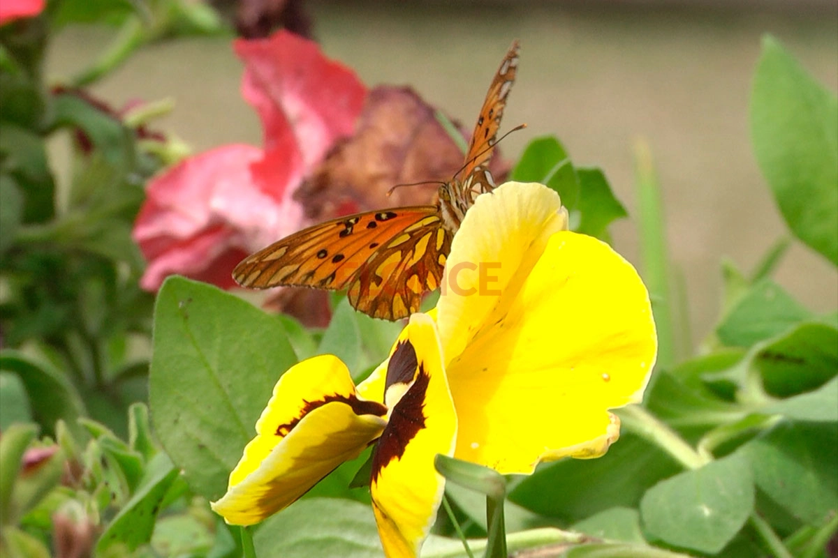 A captivating portrait that commands attention