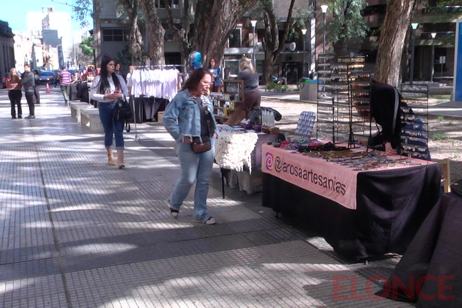 Feria de emprendedores en Plaza Carb&oacute; (foto Elonce)