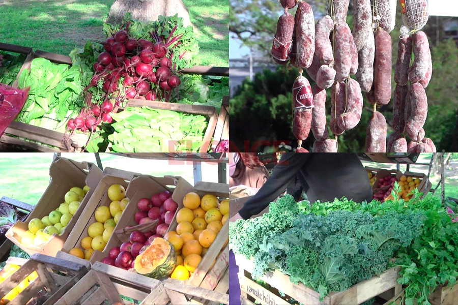 Feria "El mercado en tu barrio" (foto Elonce)