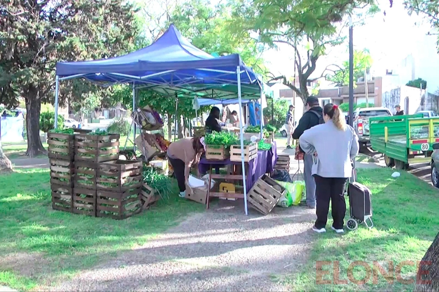 Feria "El mercado en tu barrio" (foto Elonce)