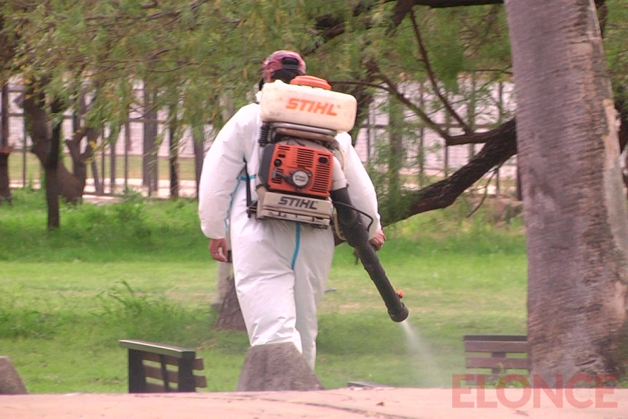 Fumigaci&oacute;n contra mosquitos (foto Elonce)