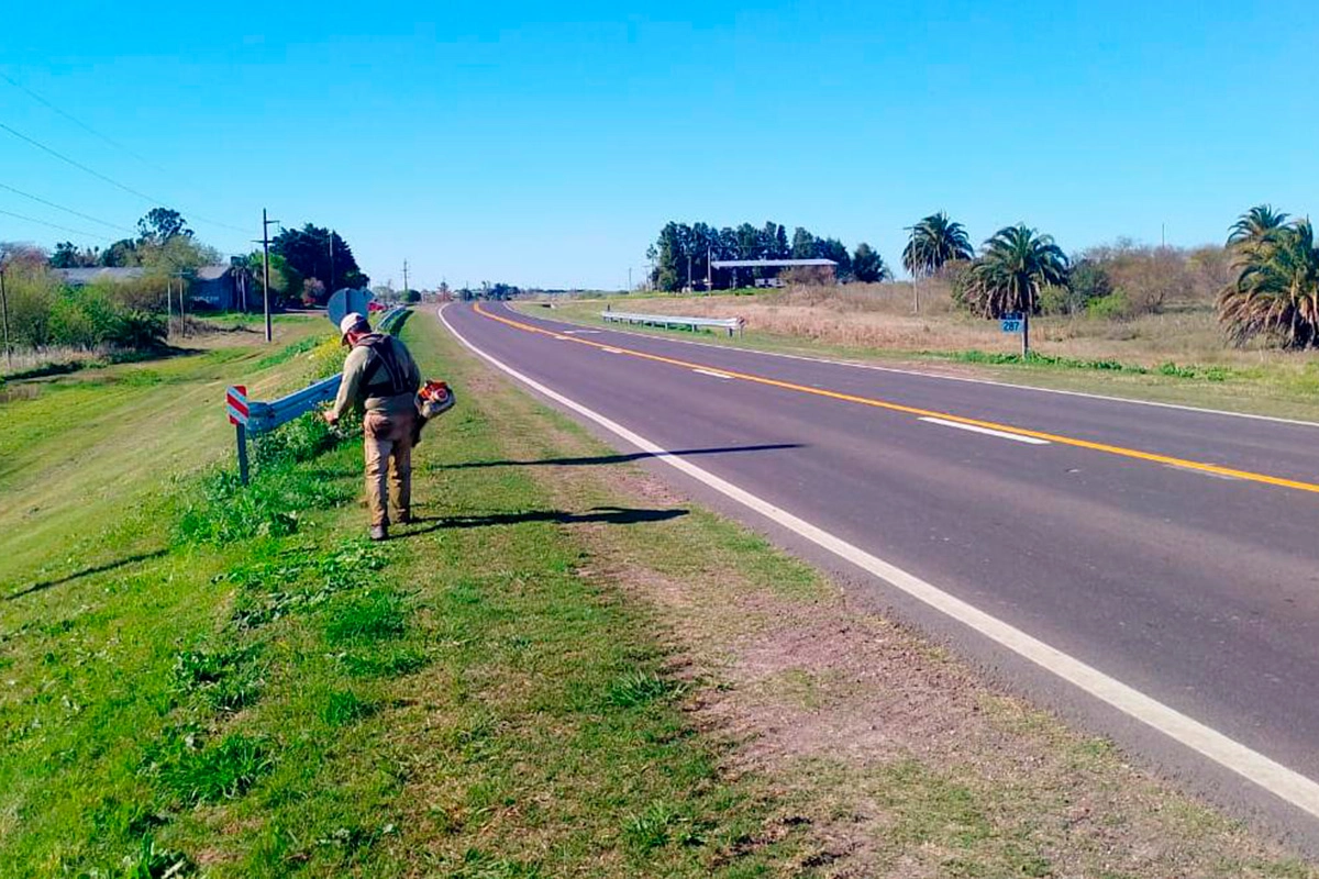 Vialidad Nacional realiza obras de mantenimiento en la Ruta Nacional 12