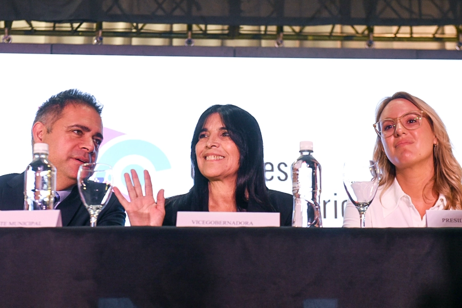Congreso Latinoamericano para la Primera Infancia (foto Senado de Entre R&iacute;os)