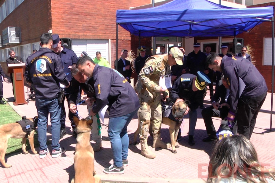 Egresaron 37 gu&iacute;as y perros detectores de drogas (foto Elonce)