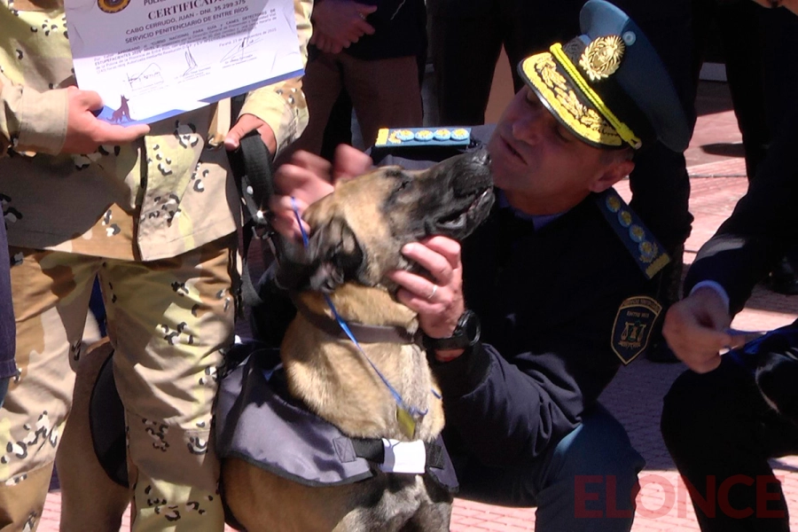 Egresaron 37 gu&iacute;as y perros detectores de drogas (foto Elonce)