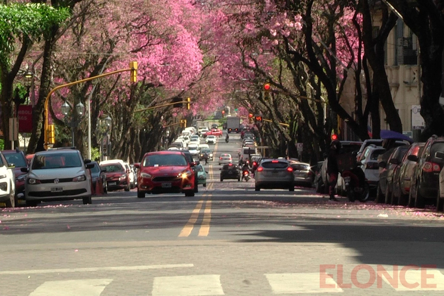 La primavera en Paran&aacute; (foto Elonce)