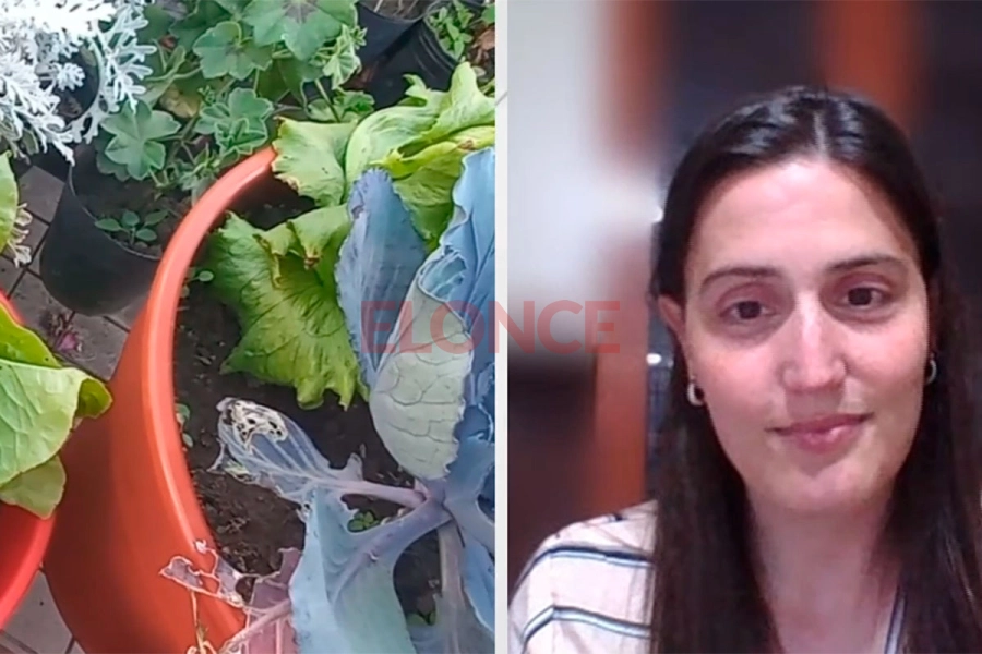 La ingeniera agr&oacute;noma Mariana Martin. Foto: Elonce.