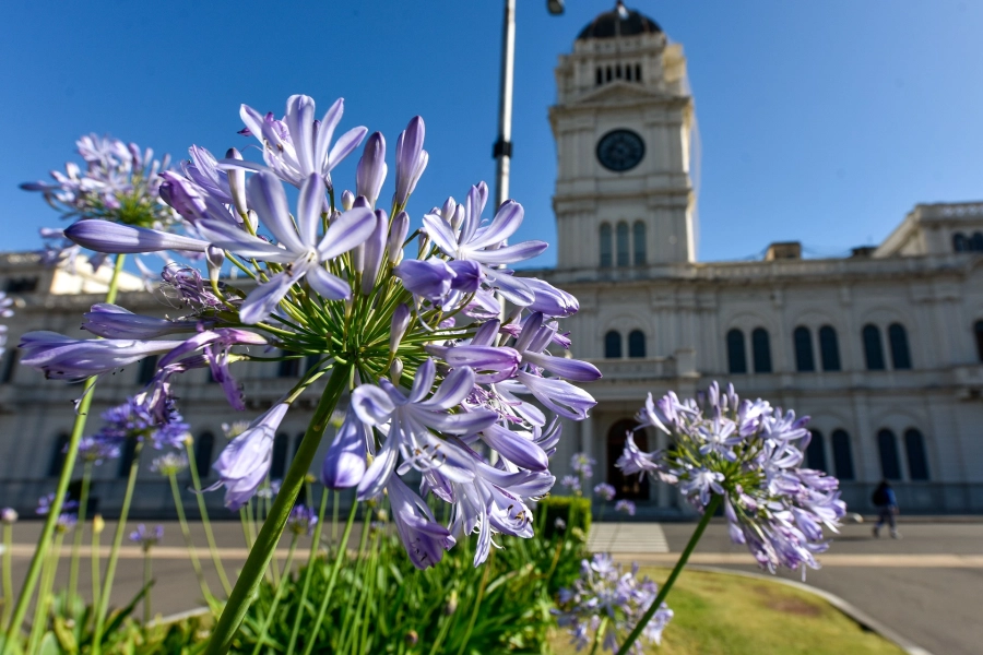Casa de Gobierno (foto archivo)