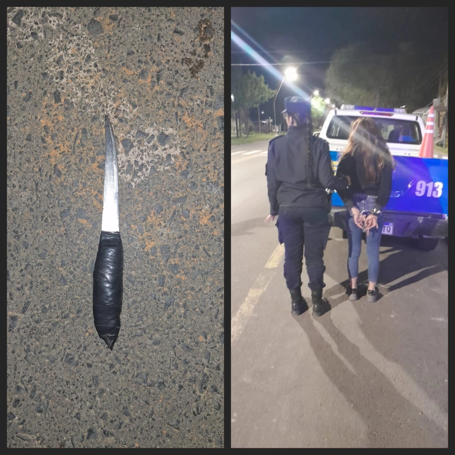 Detenida en Paran&aacute; (foto Policía de Entre R&iacute;os)