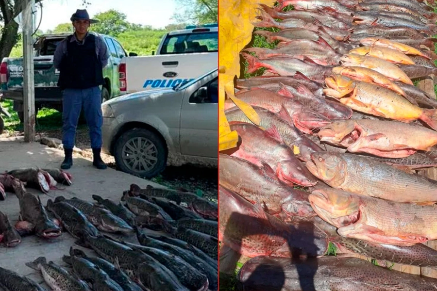 (Chaco todo el D&iacute;a).