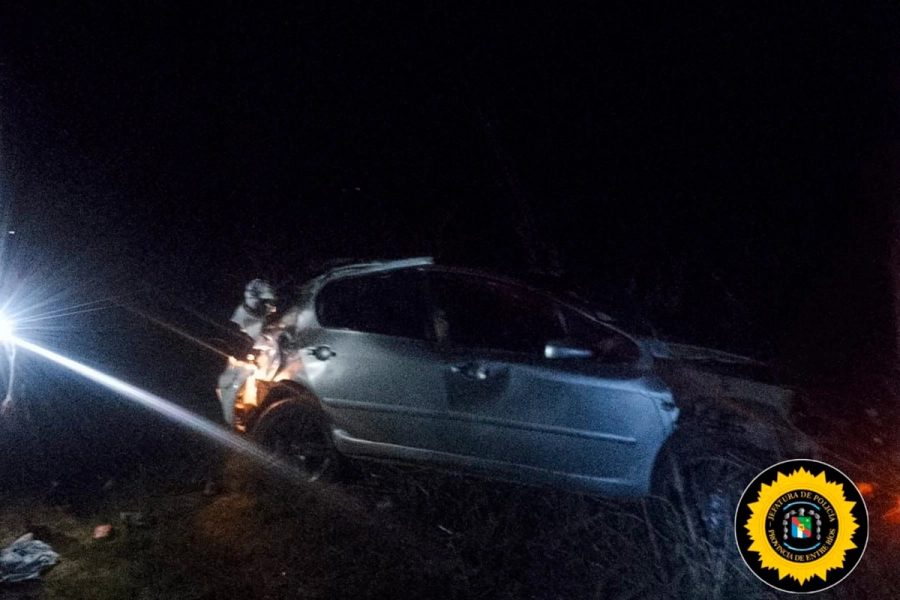 Vuelco en puente Victoria-Rosario (foto Policía de Entre Ríos)