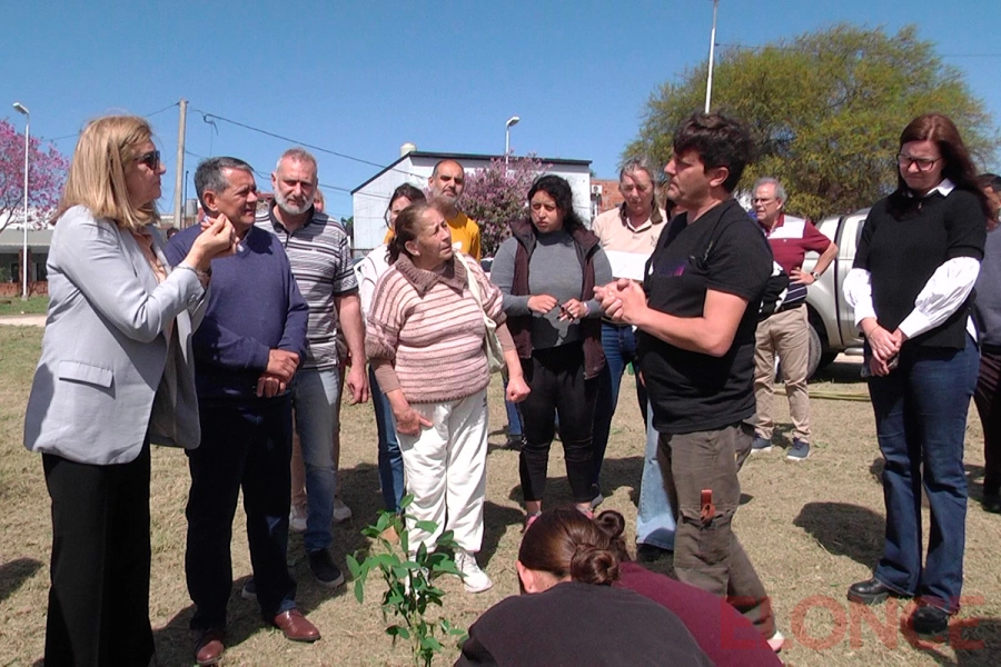 Plan municipal de arbolado urbano (foto Elonce)