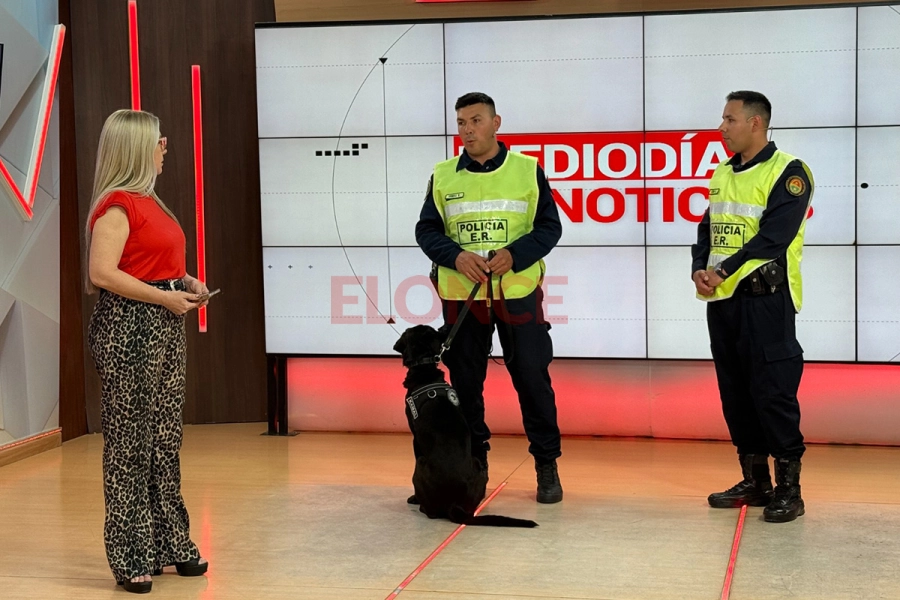Polic&iacute;as mostraron el trabajo de perros detectores de drogas (foto Elonce)