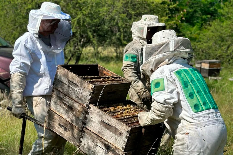 Cooperativa ap&iacute;cola &ldquo;El Espinal&rdquo;